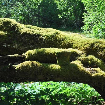 Kirjakkalan Ruukkikylae Teijo Ruang foto