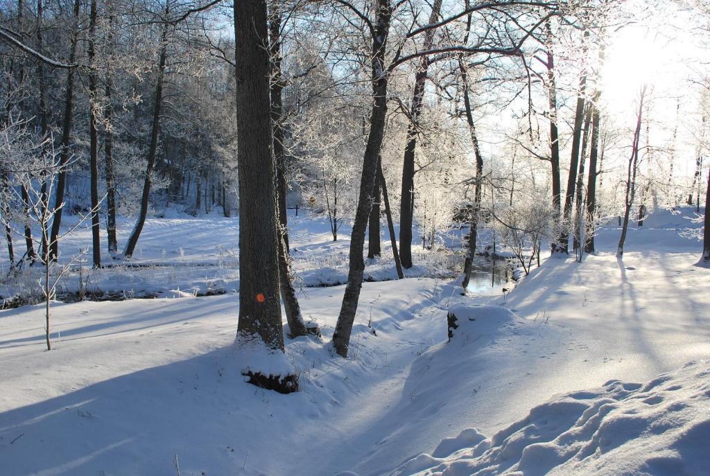 Kirjakkalan Ruukkikylae Teijo Bagian luar foto
