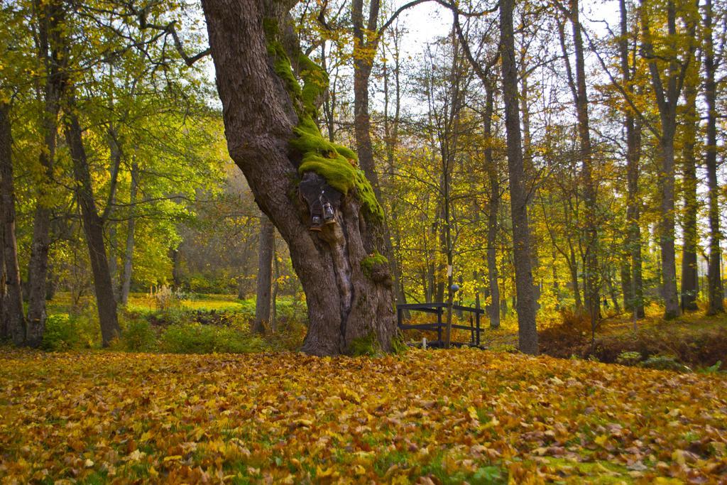 Kirjakkalan Ruukkikylae Teijo Bagian luar foto